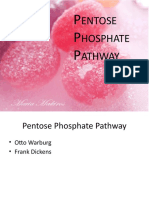 Pentose Phosphate Pathway