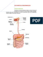 Unidad 9 El Aparato Digestivo PDF