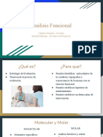 Análisis Funcional PDF