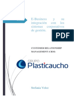 Caso Practico CRM PDF