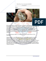 La_Pesca_del_pejerrey_Chileno.pdf