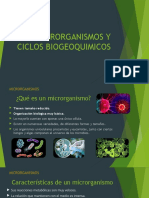 MICROORGANISMOS Y CICLOS BIOGEOQUIMICOS