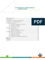 Teoria de Procesos y Estructura de Laboratorios