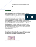 Microorganismos Patógenos en La Industria de La Leche