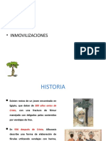 Inovilizaciones 1