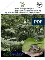 Evaluacion Ecologica en La Propuesta Área Protegida Trinacional Montecristo en Territorio Guatemalteco y Hondureño PDF