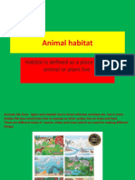 Animal Habitat