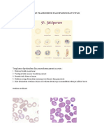 Perbedaan Plasmodium Falciparum Dan Vivax