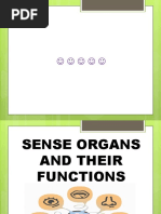 Day 28 Sense Organ and Its Function