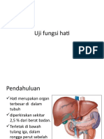 Hati-Pemeriksaan Fungsi Hati