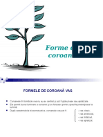 Forme_de_coroana_Vas_si_Palmete.ppt