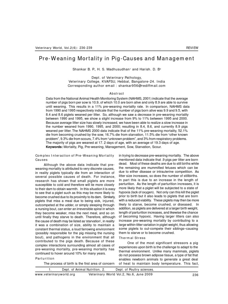 Pre-Weaning Mortality in Pig-Causes and Management | PDF | Domestic Pig ...