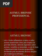 Download 2 Astmul Bronsic Profesional Curs II by rogo20 SN45261323 doc pdf