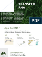 BIOKIM Transfer RNA