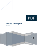 Chirurgica PDF