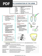 MSU Test Results Explained: Infection Guide | PDF | Infection | White ...