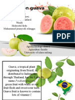 Bahasa Inggris Guava