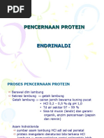 Download Pencernaan Protein by Zikra Neka SN45263070 doc pdf