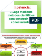 Competencia y Capacidades CT