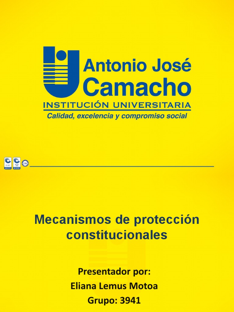 Mecanismos de Protección Constitucional | PDF | Habeas corpus ...