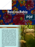 Portifólio - Baiei na Bahia.pdf