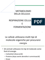 Metabolismo Cellulare