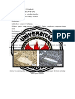 198265244-SIFAT-OPTIK-ALKALI-FELDSPAR-docx.docx