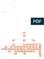 Mapa conceptual + defensa soledad acosta