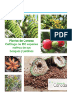 Catalogo100plantasbosquesdecanoas PDF