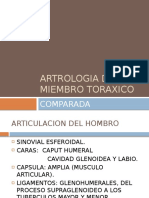 ARTROLOGIA DEL MIEMBRO TORAXICO Veterinaria
