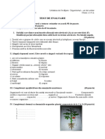 Test de Evaluare, Organismul - Un Tot Unitar-Clasa A VI-a