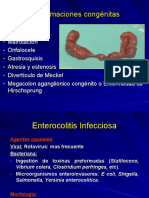 Patologia Gastrointestinal. Intestino Grueso.