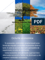 Anotimpurile Economiei