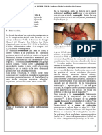 Viscuso, Matías Nicolás - Hernia Incisional Parte 1