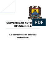 Lineamientos de Practicas