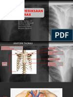 Thorax