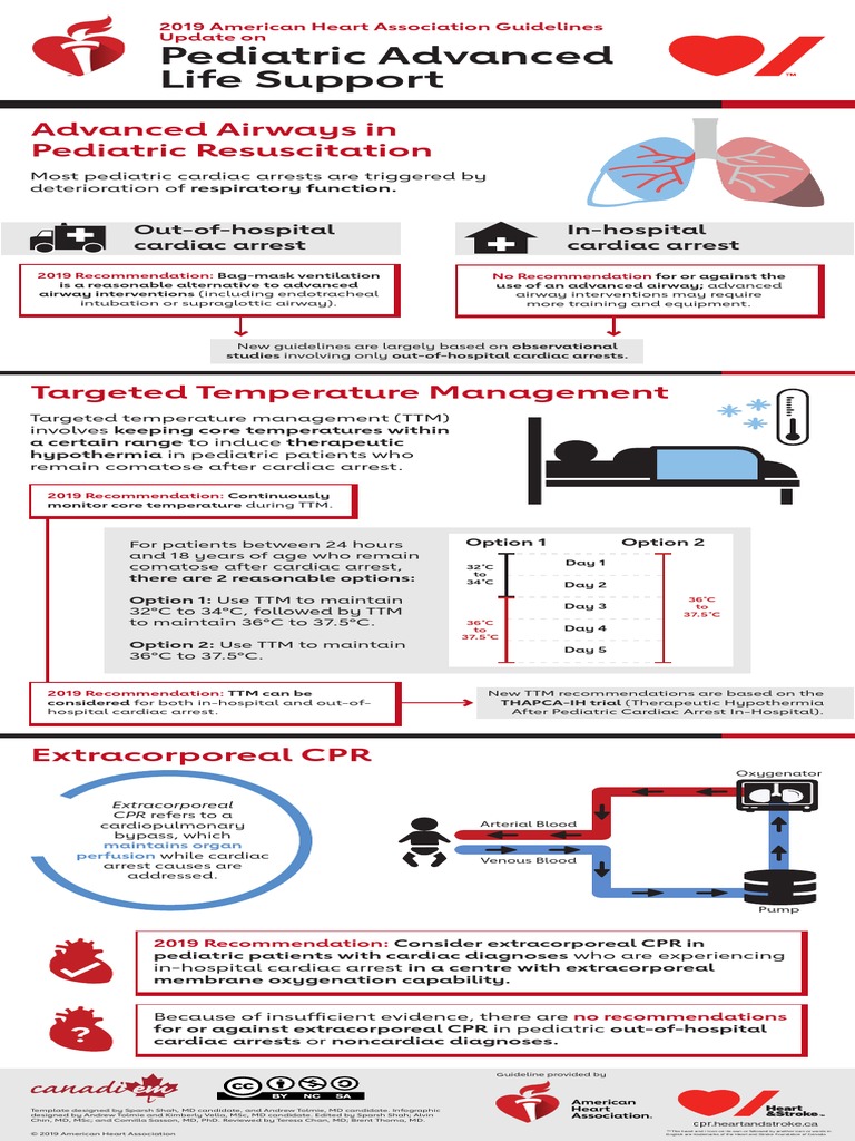 2019 Guidelines Update Infographic PALS FINAL EN PDF | PDF | Cardiac ...