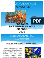 Tugas Presentasi Ikan Badut