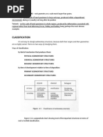 SEDIMENTARY STRUCTURES Report