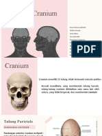 Anatomi Cranium Kel 1