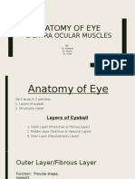 Anatomy of Eye 0 Extraocular Muscles