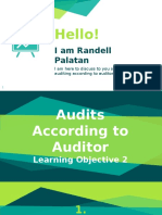 Audits According To Auditor