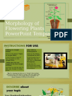 032 Free Morphology in Flowering Plants Google Slides Themes PPT Template