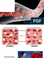 Anemia Pada Kehamilan