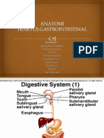 Anatomi Traktus GI