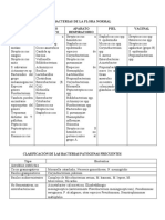 Clasificación de La Flora Normal y Patogena