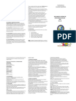 Triptico R Int PDF