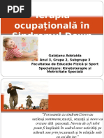 Anunt Sedinta Cu Parintii 3 Pdf