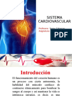 Sistema Generalidades Cardiovascular OFICIAL