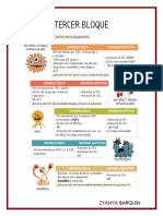 Zyanopsis de Inmuno 2.0 - Tercer Bloque